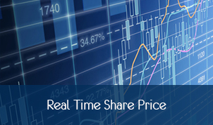 Real Time Share Price